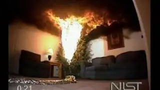 EXCLUSIVE Christmas Tree Safety Tips from NIST (PSA)