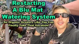 Resetting A Blu Mat Self Watering System With Gravity Fed Reservoir