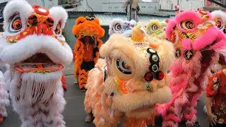 Đoàn Lân Sư Rồng Uy Long diễu hành ra chùa khai quang điểm nhãn - Múa Lân xuân Ất Tỵ 2025 ( clip 1)