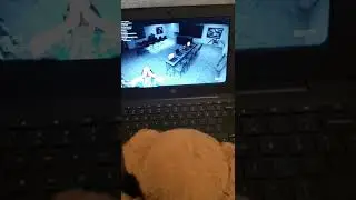 Insym and Beary get scared by the Skinny Prince Observation duty 5