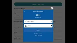 Canopy Connect & Gravity Forms integration created by GravityCerts