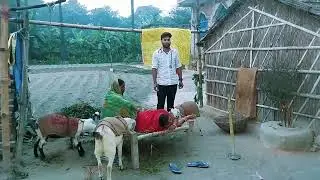injection video funny video | injection video in indian clinic |funny video injection doctor |