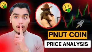PNUT Coin Price prediction and News Today | PNUT Coin Crashed | PNUT Coin Updates & Analysis! #pnut