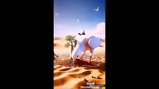 The Farmer and the Dove &ndash; A Magical Desert Story of Kindness and Hope#MoralStory#LifeLesson#Kindness