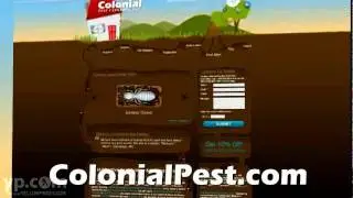 Termite Exterminators | Boston MA | Colonial Pest Control