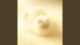 Her Ghost in the Hallway