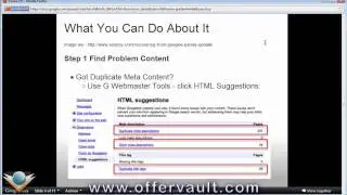 Google Panda Update with Dustin Bow