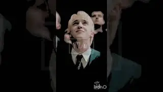 т/и и Драко