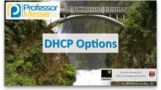 DHCP Options - CompTIA Network+ N10-006 - 1.3