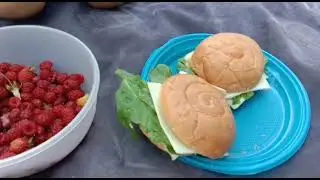 ПИКНИК🥪