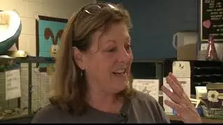 Safe Animal Shelter recovering after Hurricane Irma