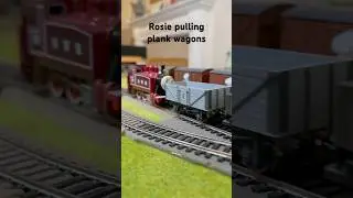 Rosie pulling plank wagons ￼