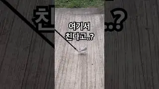 불꽃샷&hellip;?🔥 #golfswing #golf