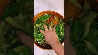 How do I store curry leaves which stays fresh for longer #shorts