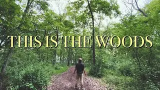 This is the Woods