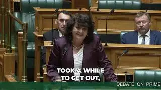 Casey Costello: The yarn Labour spin is reliant on New Zealanders being foolish again