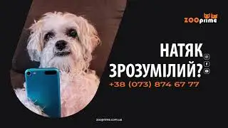 ZooPrime - натяк