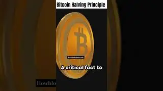 Embracing the Bitcoin halving principle: Where scarcity meets innovation.