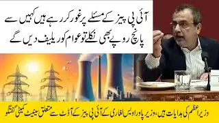Senate committee discussion on audit of IPPs of Power Minister Owais Leghari | Khaleej News