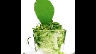 Sweet Stevia Healthy and Natural Sugar Substitute