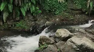 Restorative Calm Lake to help Meditation, All Night Sleep & Self-Care