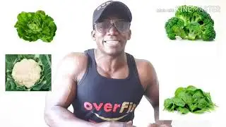 Plan de alimentaci&oacute;n para reducci&oacute;n de grasa corporal y aumento en masa muscular magra//Ober Caldas