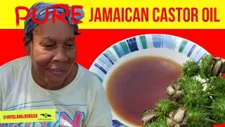 How To Make PURE Jamaican Black Castor Oil - FULL PROCESS | 100% ORGANIC, Traditional & Authentic