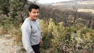 Senderismo en el bosque de la Primavera