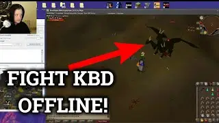 Fighting KBD Offline In Private OSRS Server!