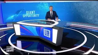 Nine News Perth with Whale Watch Western Australia