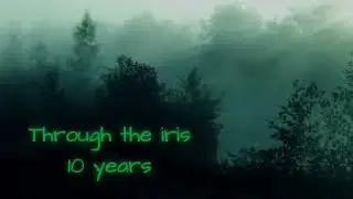 Through the iris (Nightcore) - 10 Years