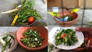 Budgies Parrot Breeding Green Food / Budgies Parrot green vegetables food Details