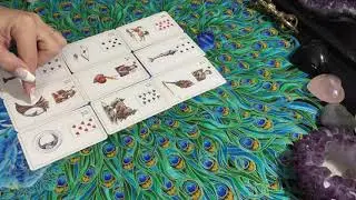 Weekly Reading Insights - December 31st - Jan 6 2019 - Nya Thryce