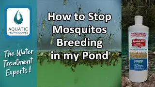 AMF Aquatic Mosquito Killer - For Still Water