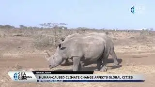 Nairobi Features Pleasant Climate, Numerous Green Spaces