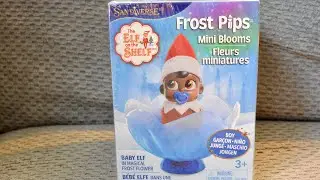 Frost Pips Elf Of The Shelf Unboxing
