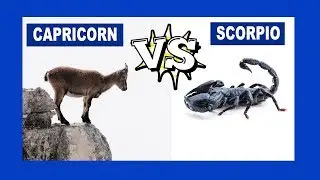 Capricorn vs. Scorpio: Who Is The Strongest Zodiac Sign?