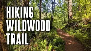 I Hiked 30 Miles in a Day | Wildwood Trail in Forest Park (Portland, OR)