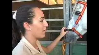 PELICULA Lucia Diaz Sicab 2015