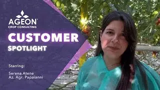 Ageon Crop Consulting | Customer Spotlight: Papaianni Greenhouse