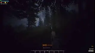 the treelines