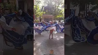 Dance Show in Cartagena 🇨🇴 #travel #colombiatourism #short #shorts #shortsfeed #shortsviral #viral