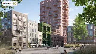 NIBC Client Case - BEING