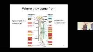 Anesthesia lecture 13.07.2021