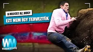 Top 10 Jackass mutatv&aacute;ny, amelyek nem &uacute;gy v&eacute;gződtek, ahogy arra sz&aacute;m&iacute;tottak