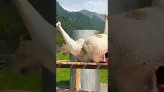 #shortvideofood Ostrich  Roast Ostrich Cuisine do it yourself  #food #shotrs