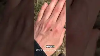 97/100 видео про Беларусь