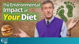 Environmental Impacts of Your Diet | The Exam Room