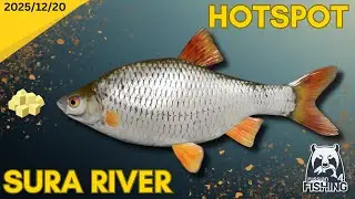 Sura River Trophy Roach Hotspot - Russian Fishing 4
