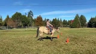 Trinity Trail Events - October - Mustang Challenge - Alicia & Simba - obstacle trail 